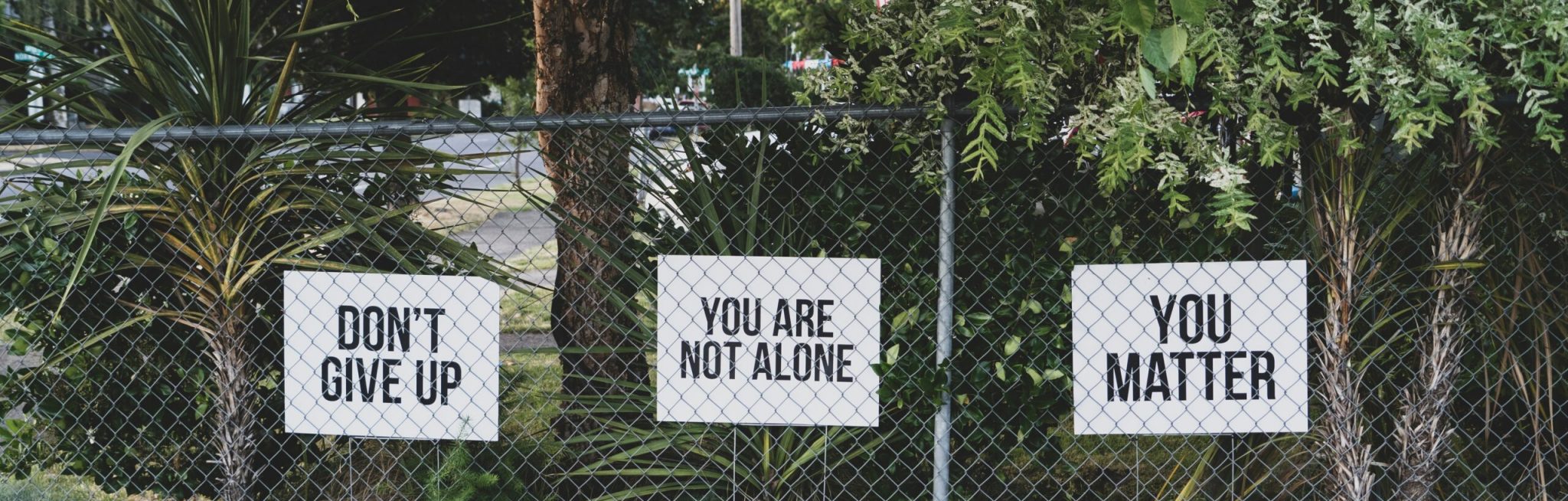 dan-meyers-hluOJZjLVXc-unsplash